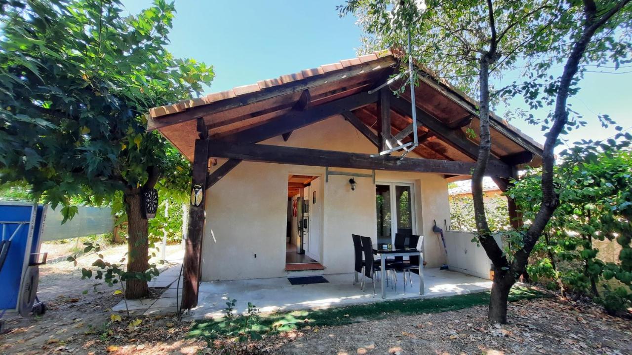 Promo 6-10Juin Gite 6 Personnes Toulouse 7Mn Du Metro 4 Lits Terrasses Gragnague Exterior photo