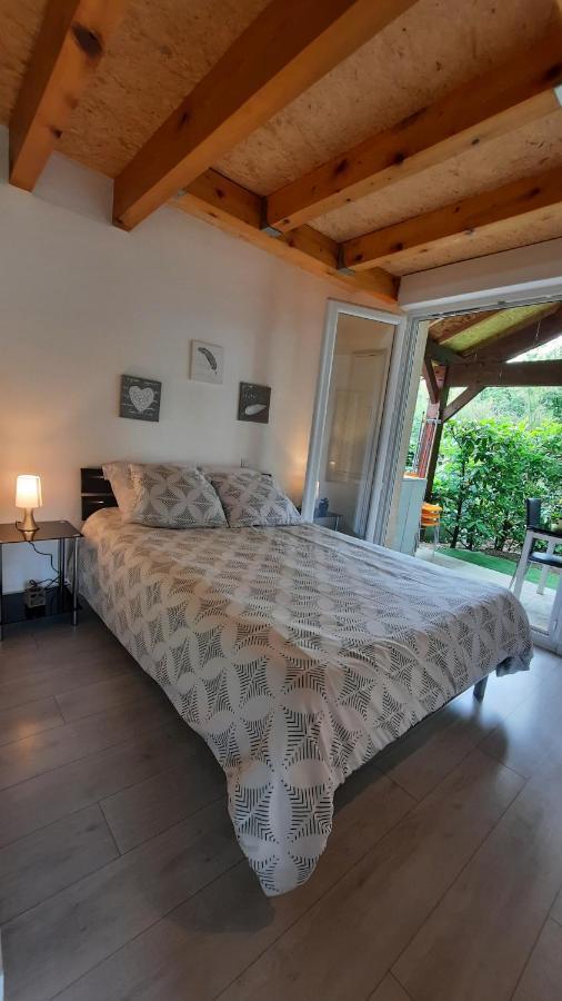 Promo 6-10Juin Gite 6 Personnes Toulouse 7Mn Du Metro 4 Lits Terrasses Gragnague Exterior photo